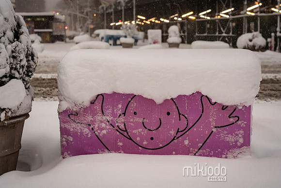 mikiodo260223_3166_LR