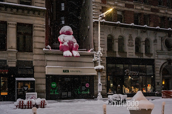 mikiodo260223_3210_LR