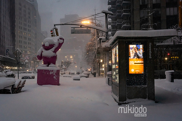 mikiodo260223_3092_LR