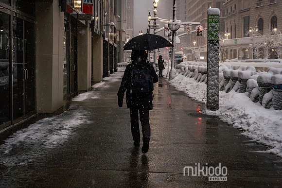 mikiodo260223_3228_LR
