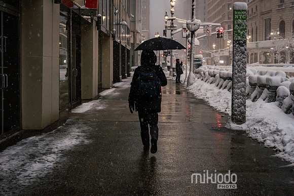 mikiodo260223_3230_LR