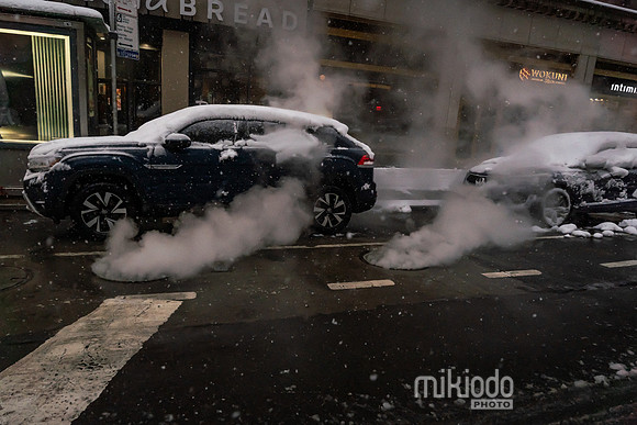 mikiodo260223_3238_LR