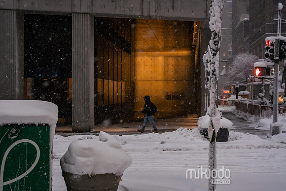 mikiodo260223_3213_LR