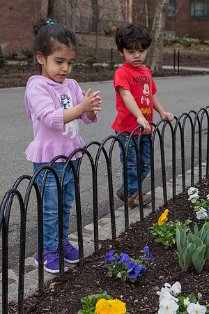 mikiodo140408_seth-sela_8730_LR