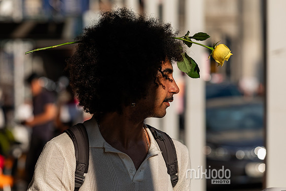 mikiodo250717_6578_LR