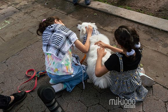 mikiodo250515_1726_LR