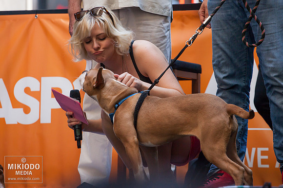 Broadway Barks 2014