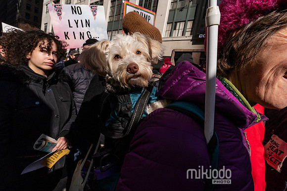 mikiodo260328_5672_LR