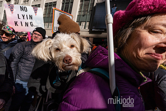 mikiodo260328_5677_LR