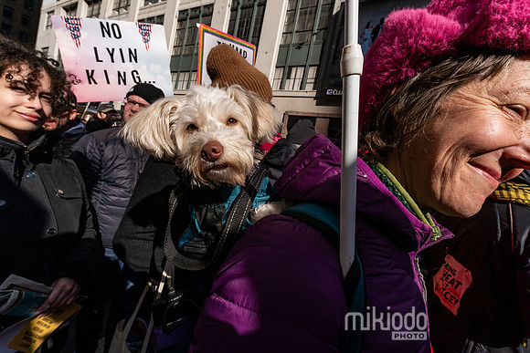 mikiodo260328_5674_LR