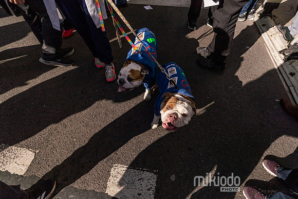 mikiodo260328_5964_LR