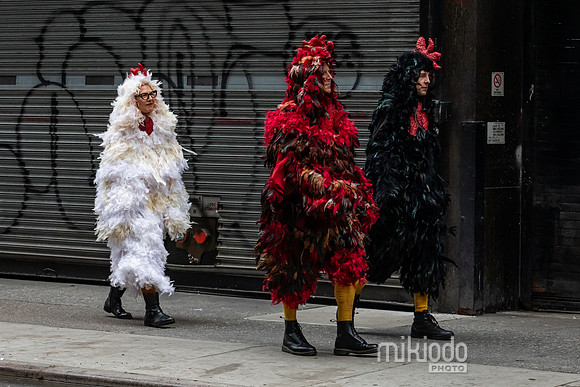 mikiodo260405_1145_LR