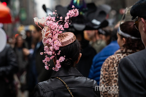 mikiodo260405_1311_LR