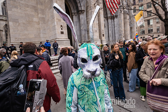 mikiodo260405_7511_LR