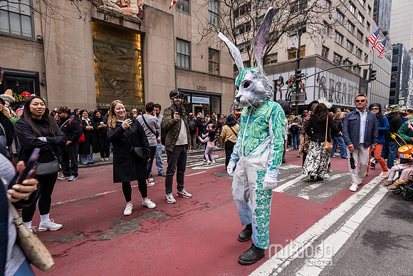 mikiodo260405_7609_LR