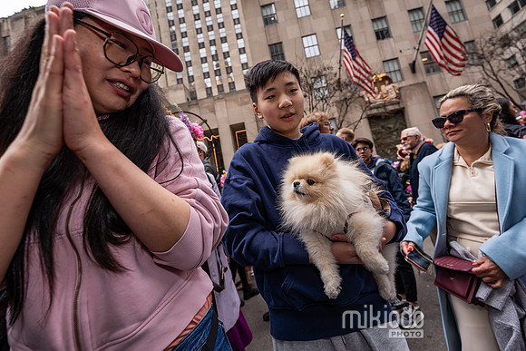 mikiodo260405_7667_LR