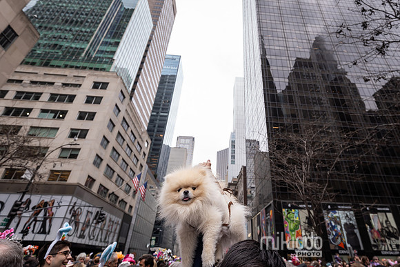 mikiodo260405_7675_LR