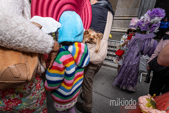 mikiodo260405_7911_LR