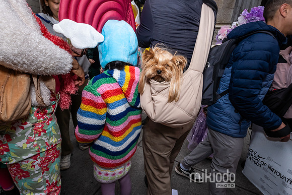 mikiodo260405_7910_LR