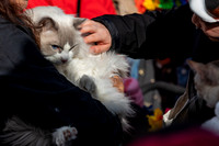 mikiodo260412_1915_LR