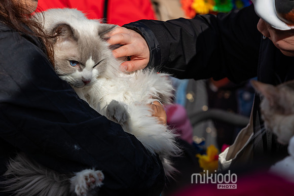 mikiodo260412_1915_LR