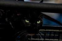 mikiodo260412_1921_LR