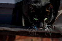 mikiodo260412_1918_LR