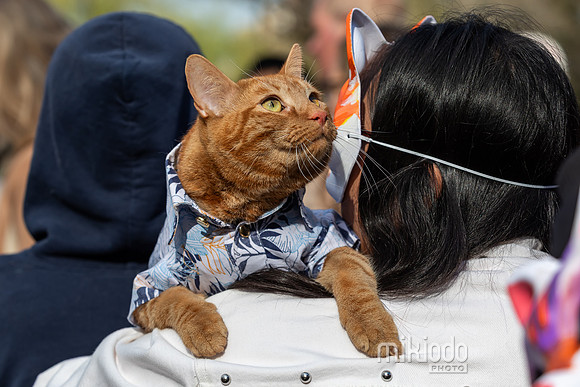 mikiodo260412_1911_LR