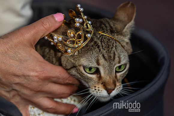 mikiodo260412_1926_LR