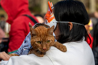 mikiodo260412_1929_LR