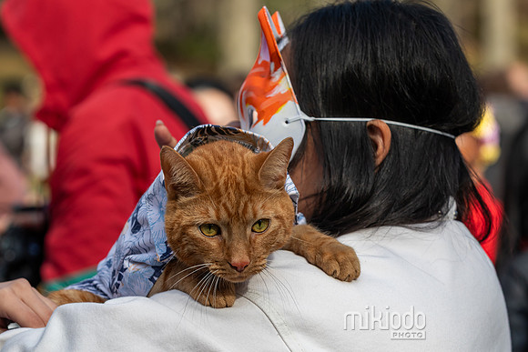 mikiodo260412_1929_LR
