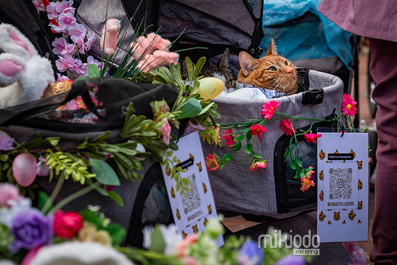 mikiodo260412_1942_LR