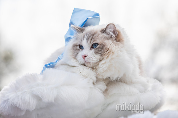 mikiodo260412_1963_LR