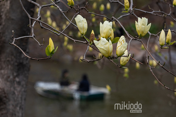 mikiodo260412_2002_LR