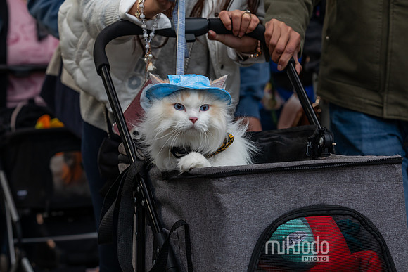 mikiodo260412_2014_LR