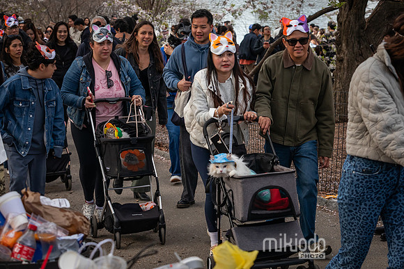 mikiodo260412_2011_LR