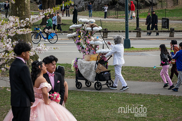 mikiodo260412_2025_LR