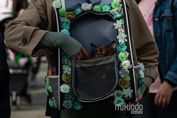 mikiodo260412_2058_LR