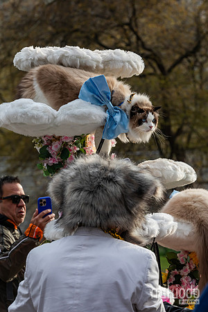 mikiodo260412_2077_LR