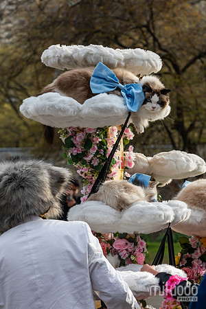mikiodo260412_2080_LR
