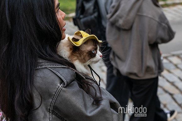 mikiodo260412_2087_LR