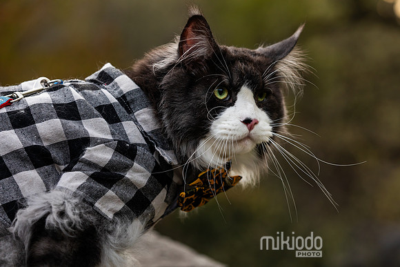 mikiodo260412_2177_LR