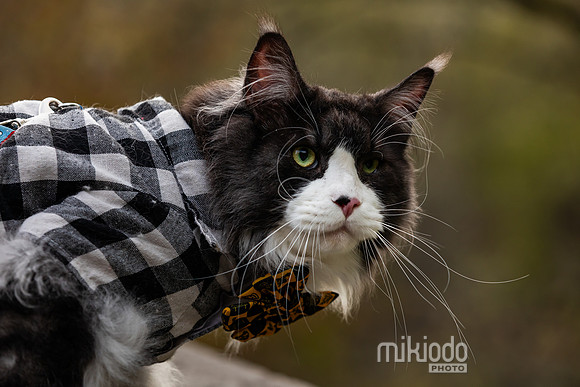 mikiodo260412_2179_LR