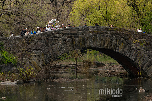 mikiodo260412_2237_LR