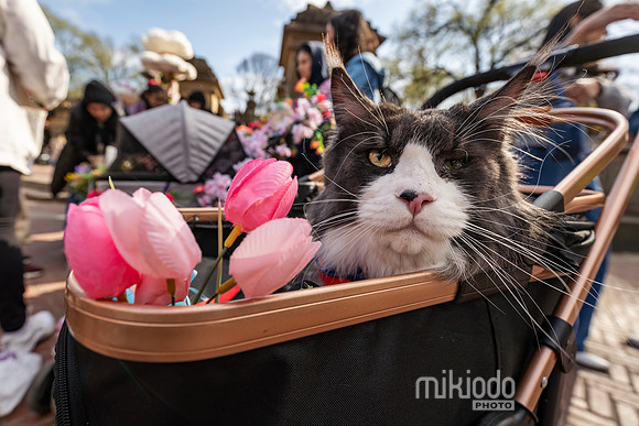 mikiodo260412_08449_LR