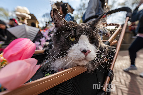 mikiodo260412_08451_LR
