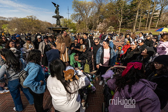 mikiodo260412_08464_LR