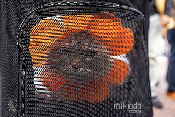 mikiodo260412_08475_LR