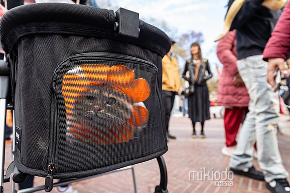 mikiodo260412_08482_LR