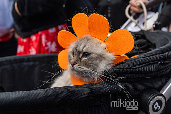 mikiodo260412_08490_LR